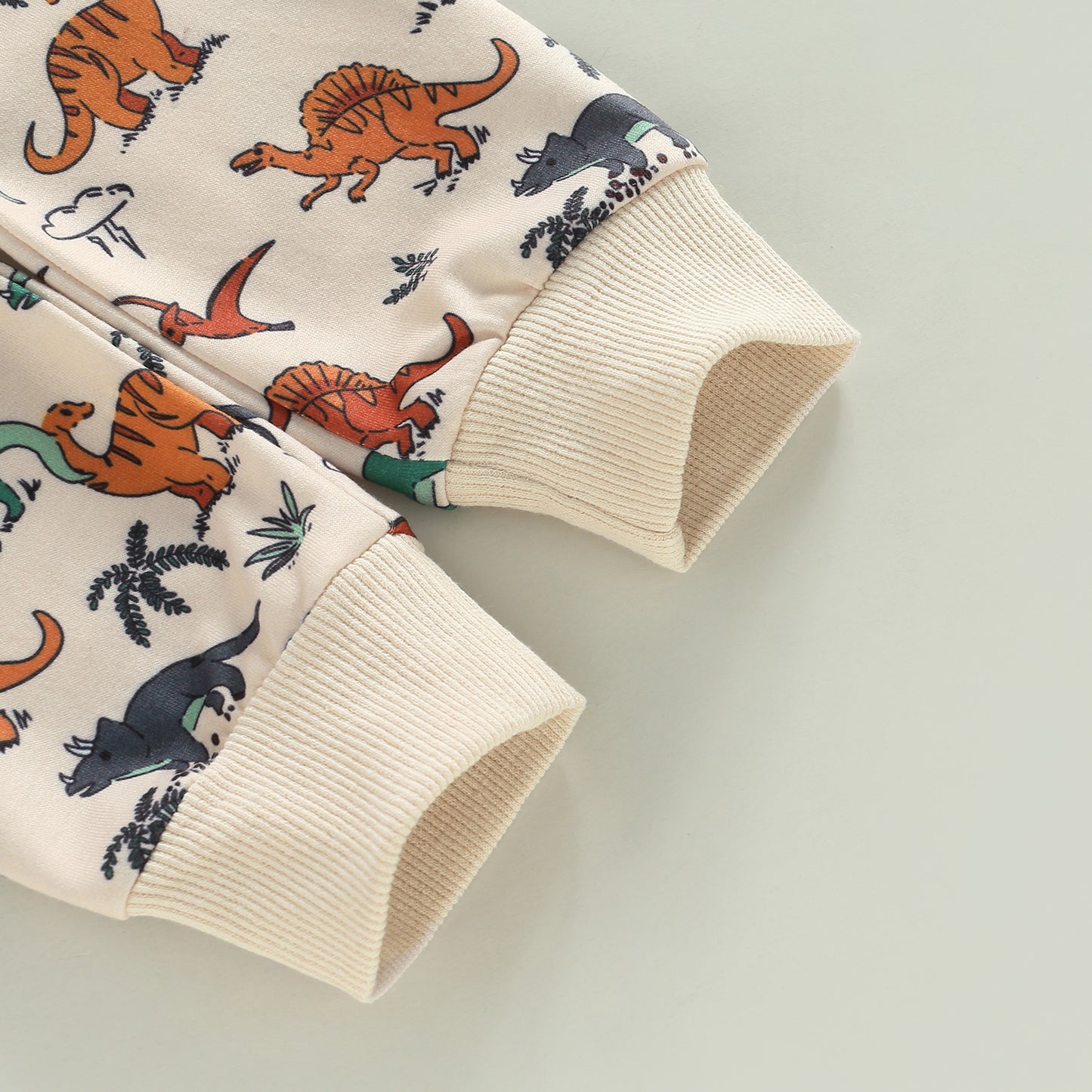 2-Piece Set | Dino Print Pajama Set