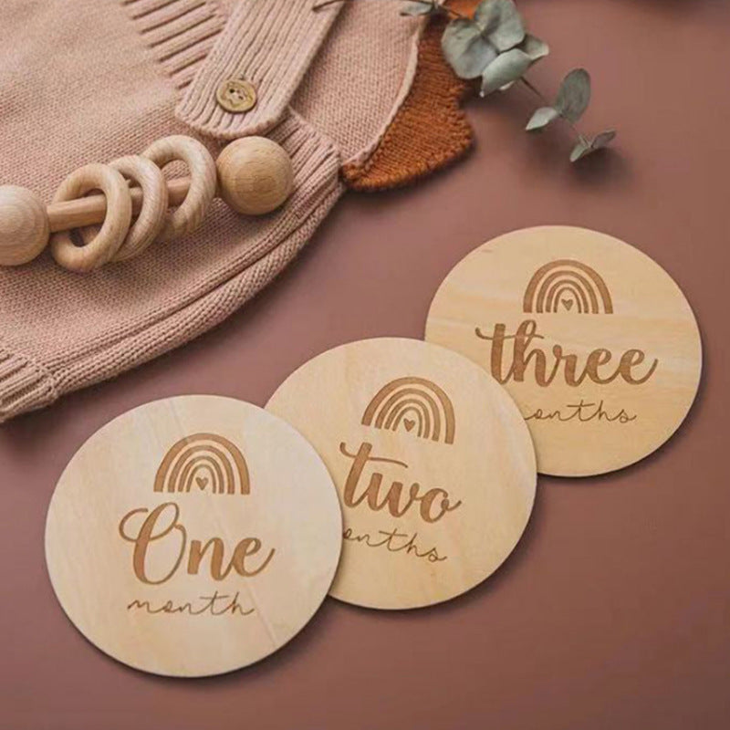 14 Pcs Rainbow Wooden Milestone Discs