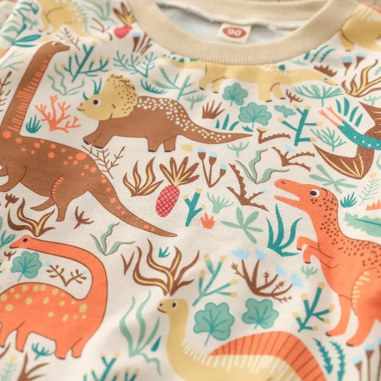 Long Sleeve Dinosaur Pullover Sweater & Pants Set